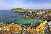 Coastal landscape with rocky shore, Great Saltee Island, County Wexford, Republic of Ireland, June 2011