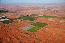 Aerial view of desert vineyards, Northern Cape, South Africa, January 2010