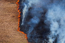Aerial photo of grassland fire, Western Cape, South Africa, August 2009