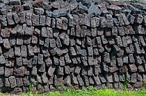 Blocks of peat stacked after cutting. Shetland, Scotland, UK, May.