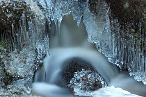 Icicles in upland stream, Wyming Brook, Sheffield, Yorkshire, UK, December