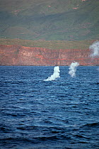 Steam from underwater volcanic activity. Socorro Island, Baja Mexico.