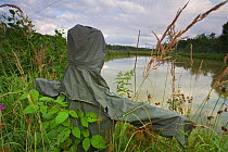 Scarecrow and nets defending carp fishponds from birds including Great Cormorants (Phalacrocorax carbo sinensis). Molln, Northern Germany, August 2009.