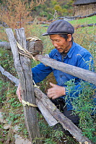 Chinese farmer repairing a fence with twigs. Zhouzhi Nature Reserve, Shaanxi, China.