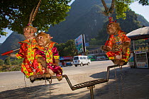 Rhesus Monkeys (Macaca mulatta) dressed up as tourist attraction. Close to Yangshuo, China, November.