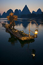 Chinese Fisherman on his raft with Great Cormorant (Phalacrocorax carbo sinensis), against the karst hills at the Li River. Yangshuo, Guangxi, China, November.