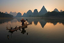 Chinese fisherman on his raft with Great Cormorant (Phalacrocorax carbo sinensis), silhouetted against the karst hills at the Li River. Yangshuo, Guangxi, China, November.