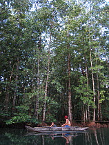 Couple originally from Tikopia paddling in mangrove creek, Nukufero, Russel Islands, Solomon islands, Melanesia, August 2008.