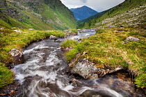 Stream running through high mountain valley. Nordtirol, Tirol, Austrian Alps, Austria, 2300 metres, July.