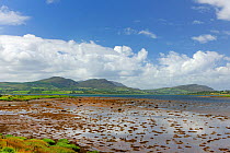 Trawbreaga Bay, Malin village, Inishowen, County Donegal, Republic of Ireland, August 2011