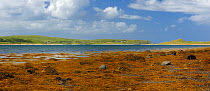 Trawbreaga Bay and Goorey Rocks at low tide, Malin village, Inishowen, County Donegal, Republic of Ireland, August 2011