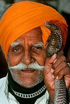 Snake charmer holding Cobra (Naja sp), Jaipur, Rajasthan, India, December 2007