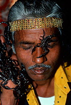 Snake charmer with scorpions climbing over his hands and face, Jaipur, Rajasthan, India, December 2007, Model released