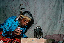 Snake charmer with Cobra (Naja sp) Jaipur, Rajasthan, India, December 2007. Model released