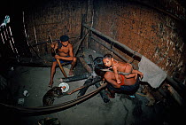 A Matses Indian family seen inside their hut. The mother cooks with her young baby on her back, while the father works on a hunting weapon, Amazonia, Peru, November 2005.