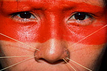 Red paint covers the top half of a Matses woman's face, and she wears decorative spines on both sides of her nose. This makeup represents the whiskers of the jaguar spirit. Amazon, Peru, November 2005...