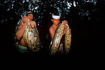 Matses Indian men hold a thick-bodied, 18-foot long Anaconda (Eunectes notaeus) that they killed during a night hunt. Amazon, Peru, November 2005.