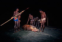 El Molo warriors pulling out the pole spears from a dead Hippopotamus (Hippopotamus amphibius) killed in their hunt, Lake Turkana, Kenya, April 2008.