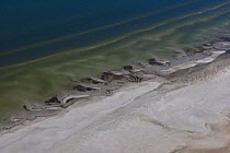 Aerial view of sandy beach along Baltic Sea coast, Zingst, Mecklenburg Western Pomerania, Germany, June 2010