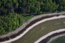 Aerial view of ditch in forest in the Baltic Sea Island Zingst, Mecklenburg Western Pomerania, Germany, June 2010