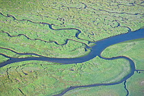 Aerial view of saltmarsh and tidal creeks, Green Coast, south of St Peter Ording, Eiderstedt, North Sea, Germany, June 2010