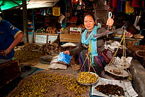 An Apatani woman selling silk worms in the market, Ziro Valley, Arunchal Pradesh, India, May 2010