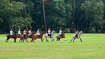 Polo playing, two teams of four compete in The Heritage Cup, Royal Military Academy Sandhurst,  Surrey, UK, August 2011