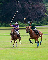 Polo playing, two team members compete in The Heritage Cup, Royal Military Academy Sandhurst,  Surrey, UK, August 2011