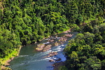 North Johnston River flowing through rainforest, Atherton Tablelands, Queensland, Australia, October 2010