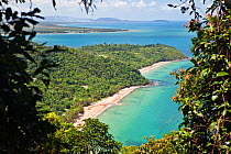 View from Bieton Hill looking through foliage over tropical coastline, Mission Beach, near Innisfail, Queensland, Australia, October 2010