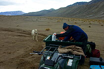 Wild Arctic wolf (Canis lupus) in camp during filming of Frozen Planet, Ellesmere Island, Nunavut, Canada, June 2008. Taken on location for BBC series, Frozen Planet, Summer