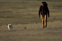 Cameraman Mark Smith near to an Arctic wolf (Canis lupus) whilst filming wolves for Frozen Planet, Ellesmere Island, Nunavut, Canada, June 2008. Taken on location for BBC series, Frozen Planet, Summer