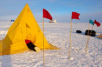 'Ice Camp' on a National Science Foundation field training course, McMurdo station, Ross Island, Antarctica, October 2009. Taken on location for BBC series, Frozen Planet, Winter