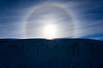'Sun Dog', or Parhelion, caused by refraction of the sun's rays, more commonly seen in Antarctica, above glacier, Dry Valleys, Antarctica, December 2009. Taken on location for the BBC series, Frozen P...