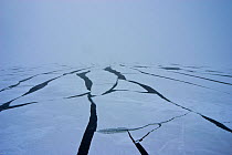 Sea ice forming in the Bering Sea, Alaska, USA, in March 2008. Taken on location for the BBC series, Frozen Planet.