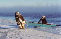 Inuit hunters hauling boat out of the water after seal hunting at the floe edge in frost smoke. Igloolik, Nunavut, Canada, 1990. 40 BELOW bookplate.
