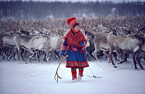 Sami woman Reindeer / Caribou (Rangifer tarandus) herder with cast antler at round-up near Kautokeino, Northern Norway, 1985. 40 BELOW bookplate.