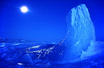 Moonlit iceberg taken at midday during the polar night, Northwest Greenland, 1980. 40 BELOW bookplate.