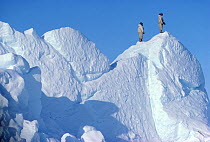 Inuit hunters climbing an iceberg to scan sea-ice for game. Melville Bay, Northwest Greenland, 1980.   40 BELOW bookplate.