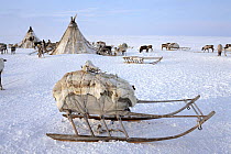 Nenets sacred sled, used to carry idols (sacred figures). Gydan Peninsula, Western Siberia, Russia., 2000. 40 BELOW bookplate.