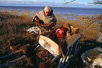 Nenets elder unpacking idols from his sacred sled during ritual. Yamal, Siberia, Russia, 2001. 40 BELOW bookplate.