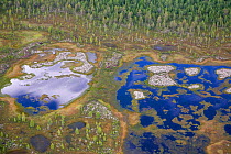 Aerial view of tundra, lakes and boreal forest in the Purovsky Region of Yamal. Western Siberia, Russia, 2008. 40 BELOW bookplate.