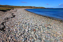 Stony beach on Claggan Bay, Islay, Inner Hebrides, Scotland, UK, March 2011