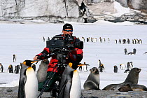 Cameraman Martyn Colbeck filming King penguins (Aptenodytes patagonicus) on beach, South Georgia, South Atlantic Islands. Taken on location for BBC Frozen Planet series, 2008
