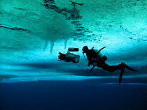 Cameraman, Didier Noirot, filming the formation of 'brinicles' (brine icicles or ice stalactites) under the ice, McMurdo Sound, Antarctica, during the filming of 'Winter' for the BBC Frozen Planet ser...