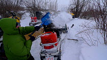 Getting snow off snowmobiles after successful filming of Timber wolves hunting bison, Arctic circle in northern Canada. Taken on location for BBC Frozen Planet series, 2009