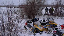 BBC filming team used the willow scrub as a blind, using sign language so as not to spook either Bison (Bison bison) or Timber wolves (Canis lupus) they were trying to film.  The snowmobiles were aban...