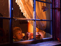 Young boy (13 months) at bedtime watches Long-legged bat (Myotis volans) flying to window attracted by the Satin moths (Leucoma salicis), North Blackfoot Valley, Montana, USA. Winner of Urban Wildlife...