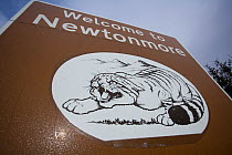 Scottish wildcat (Felis silvestris) on village sign, Newtonmore, Grampian, Scotland, UK, March 2008, Highly commended, Documentary series category, British Wildlife Photography Awards (BWPA) competiti...