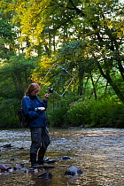 Ilona Beermann carrying out radio telemetry of European Mink (Mustela lutreola). River Ilz, Saarland, Germany, August 2007.